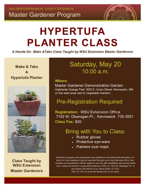 Hypertufa Planter Class